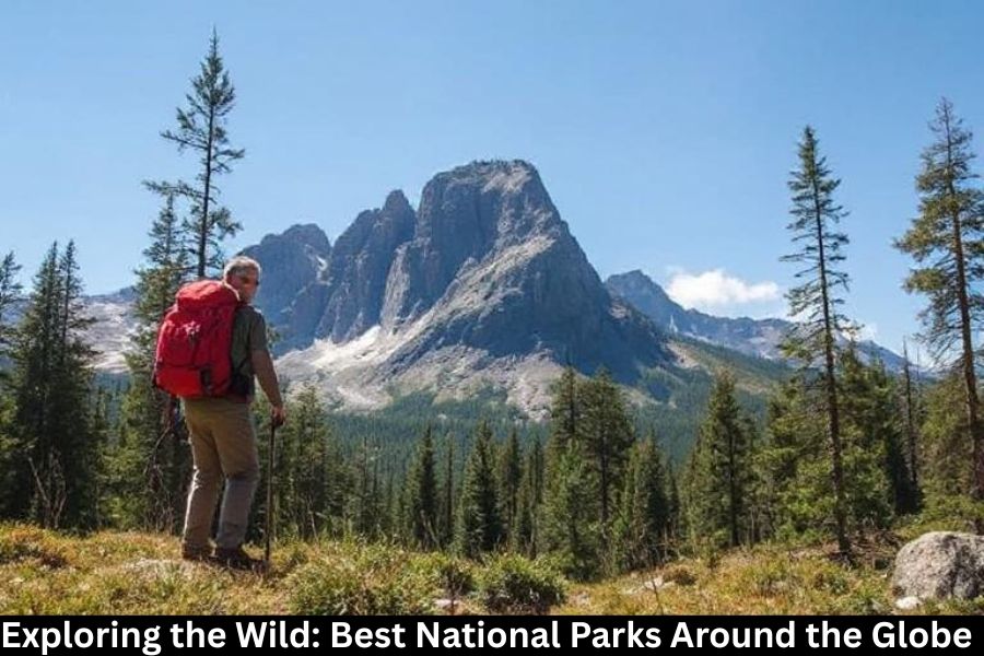 Exploring the Wild: Best National Parks Around the Globe