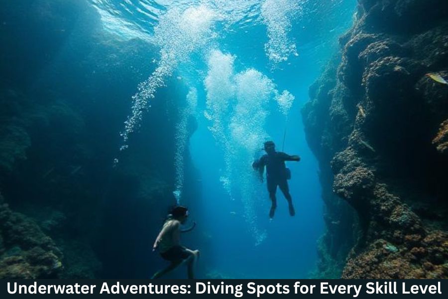 Underwater Adventures: Diving Spots for Every Skill Level